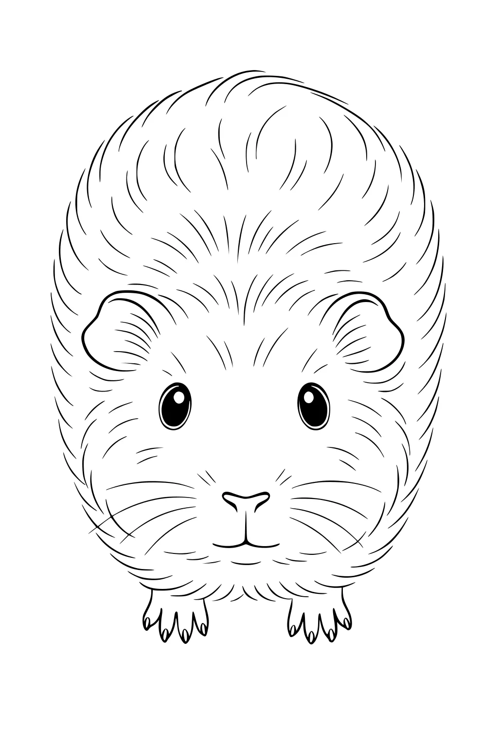 Front view of a fluffy guinea pig with large eyes, round face, furry ears, and two small feet.