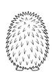 The Bounciest Hedgehog in Town