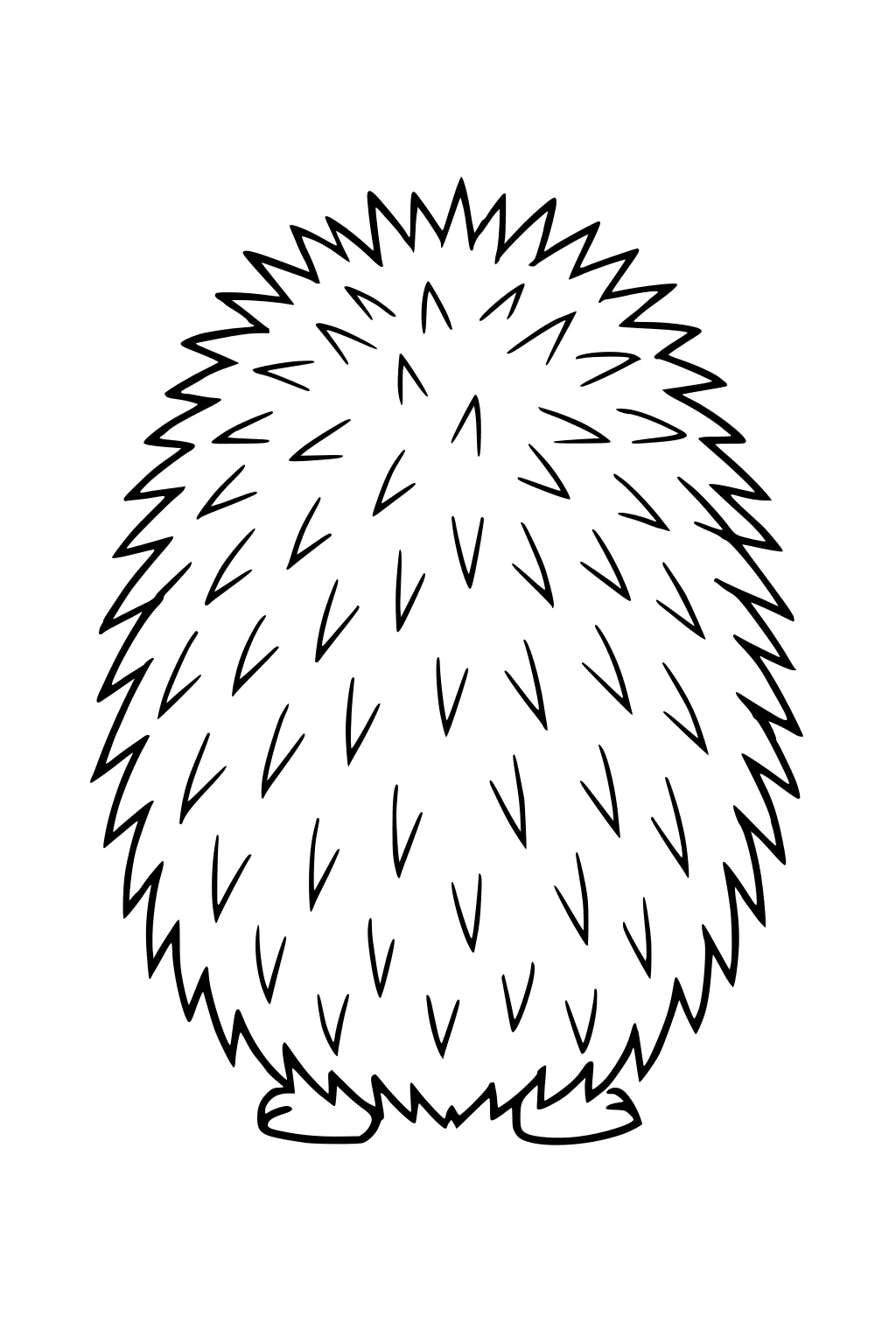 Round hedgehog with pointed spines seen from behind and two small feet visible at the bottom.