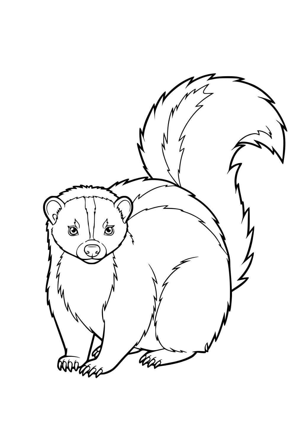 Black and white line drawing of a skunk with a fluffy body and large tail, facing forward with detailed fur.