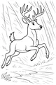 Forest Leap: The Bounding Buck