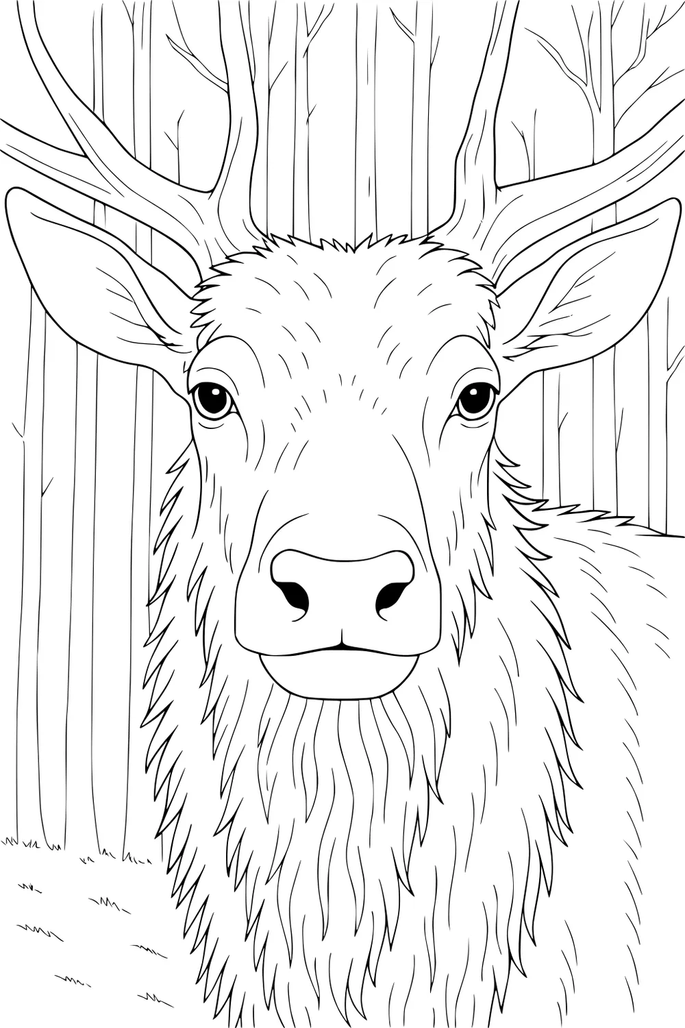 Elk with large antlers and shaggy fur in a forest with tall, thin trees and grassy ground.