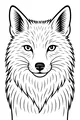 Fluffy Fox Stares with Bright Eyes