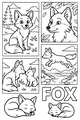 A Day in Fox Town Woods
