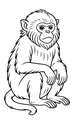 Fuzzy Monkey Sits and Thinks
