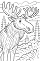 Moose in the Piney Meadow