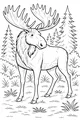 Moose Among Tall Pine Trees