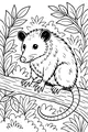Percy the Opossum Takes a Pause