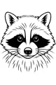 Rosie the Clever Raccoon Looks Right At You