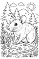 Sunny Trails with the Forest Mouse