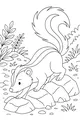 The Shy Skunk and Her Bushy Tail