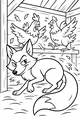 Sneaky Fox in the Chicken Coop
