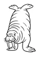 Wally the Walrus Waddles By
