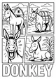 Donkey Days on the Funny Farm