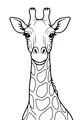 Gentle Giraffe With the Long, Spotted Neck