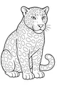 Jaguar with Bright Spots and Gentle Eyes