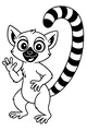 Waving Lemur With Big Bright Eyes