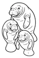 Three Gentle Manatees in a Family Hug