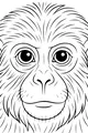 Monkey With Big Curious Eyes
