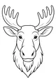 Moose With Marvelous Antlers
