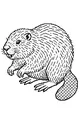Busy Beaver by the Riverbank