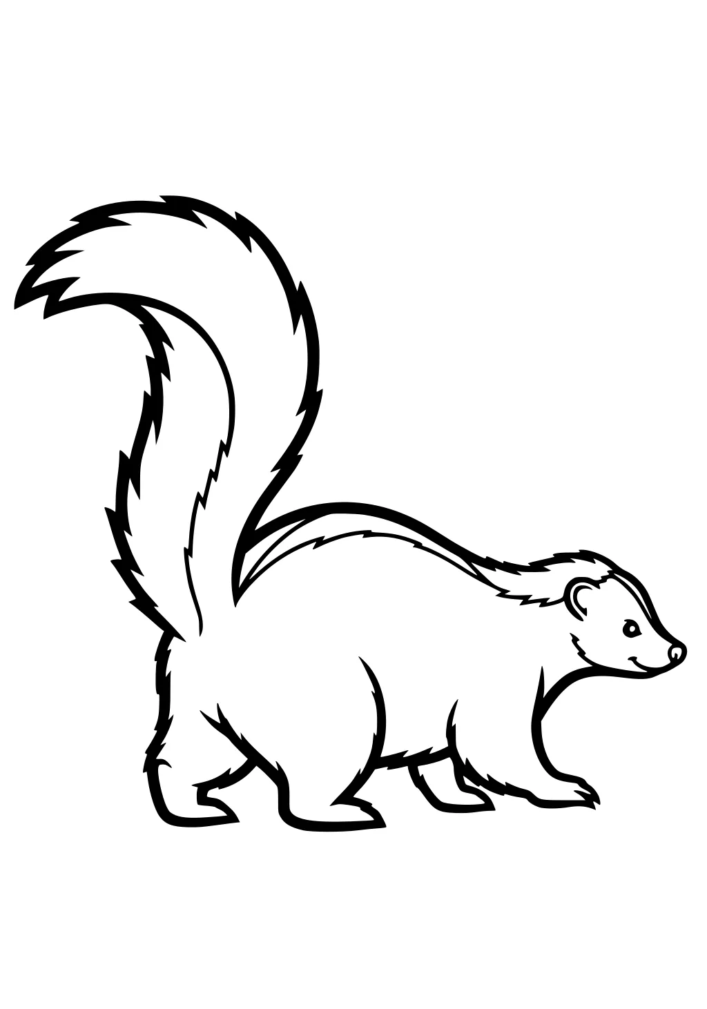 A skunk with a fluffy tail raised, round body, and small ears, standing on all fours with a blank background.