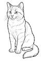 Whiskers the Fluffy House Cat