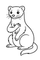 Whiskers the Friendly Weasel Sits Tall