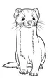 Whiskers on the Watchful Weasel