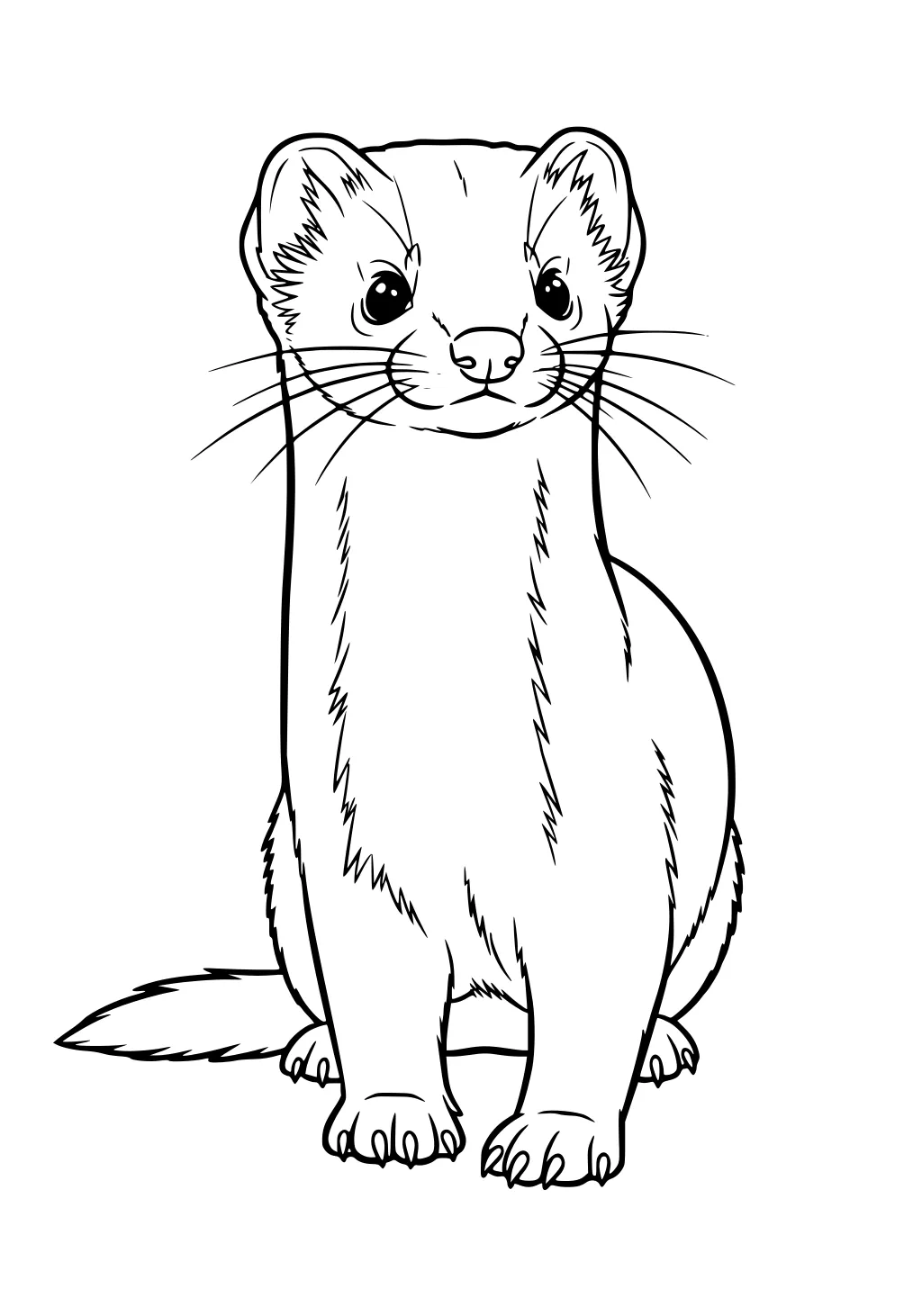 A weasel sits upright with long whiskers, perked ears, furry body, and a fluffy tail, ready for coloring.