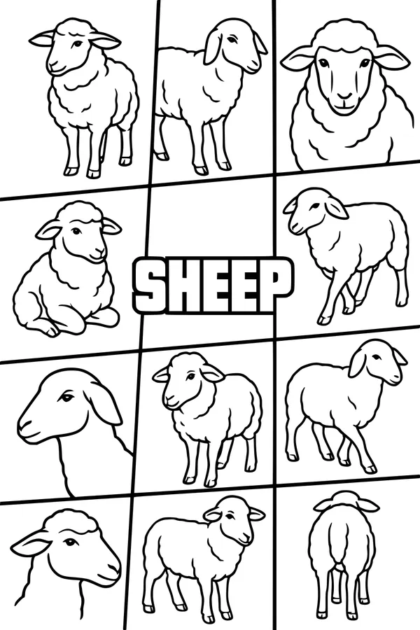 Twelve Sheep on the Meadow Wall