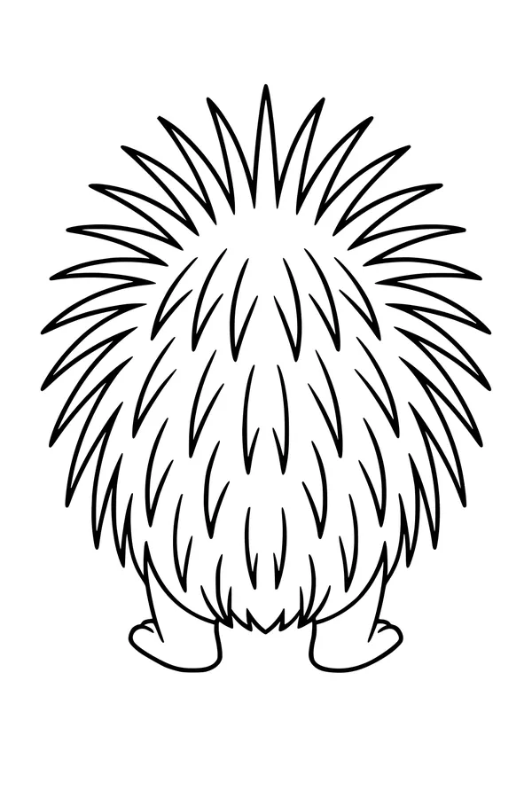 Big, Silly Porcupine on Parade