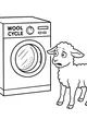 Wooly Worries at the Laundry Room