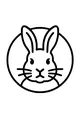 Bright-Eyed Bunny Face in a Circle