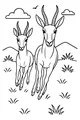 Gazelle Leap Over Sunny Grass