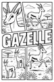 Gazelle Parade Across the Grasslands
