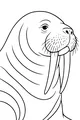 Whiskers and Tusks: Sir Walrus Waits