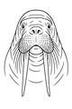 Mr. Walrus and His Whiskery Smile