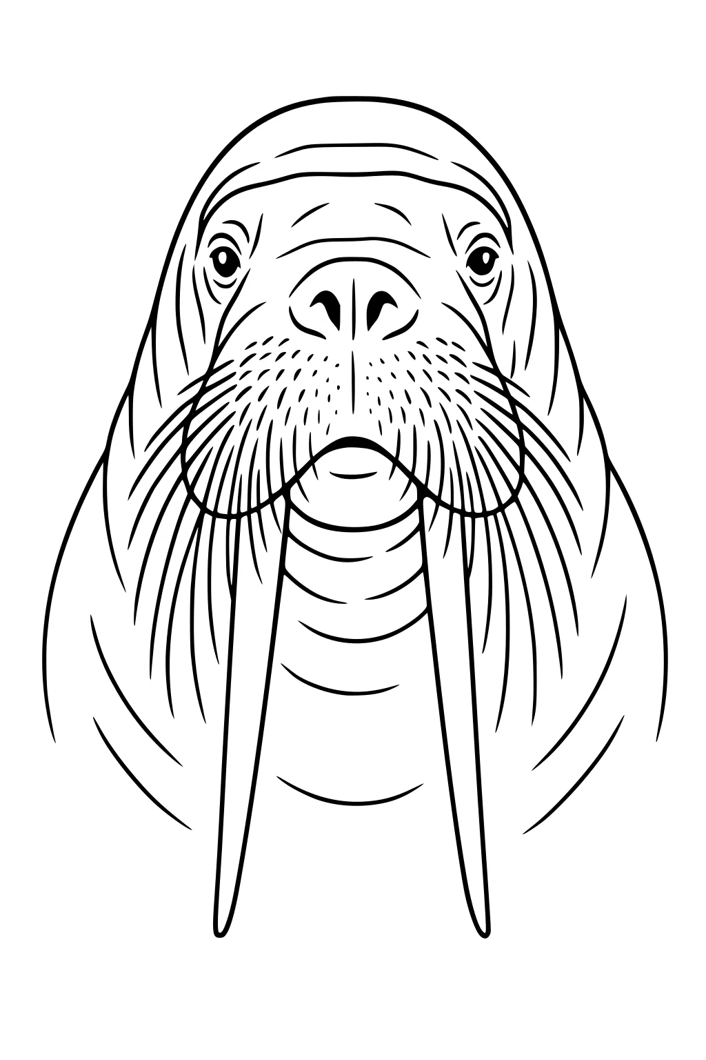 Line art of a walrus face with long tusks, wrinkled cheeks, and wide whiskers