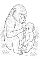 Baboon Mama's Gentle Afternoon Groom