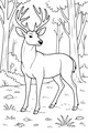 Gentle Buck in the Sunlit Woods