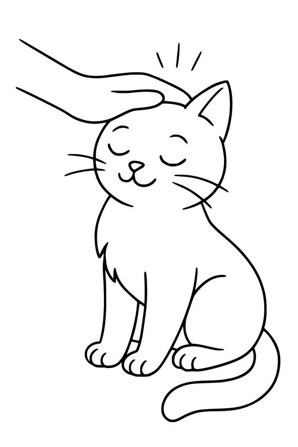 Happy Cat Gets Gentle Head Pats