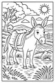 Donkey Beneath the Bright Country Sun