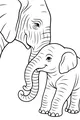 Gentle Giants Walk Together
