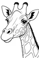 Lovely Long Neck and Gentle Eyes