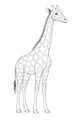 Tall Friend With A Patchy Neck