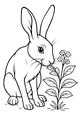 Hare and Wildflowers in the Grass