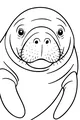 Gentle Manatee Smiles By the Water