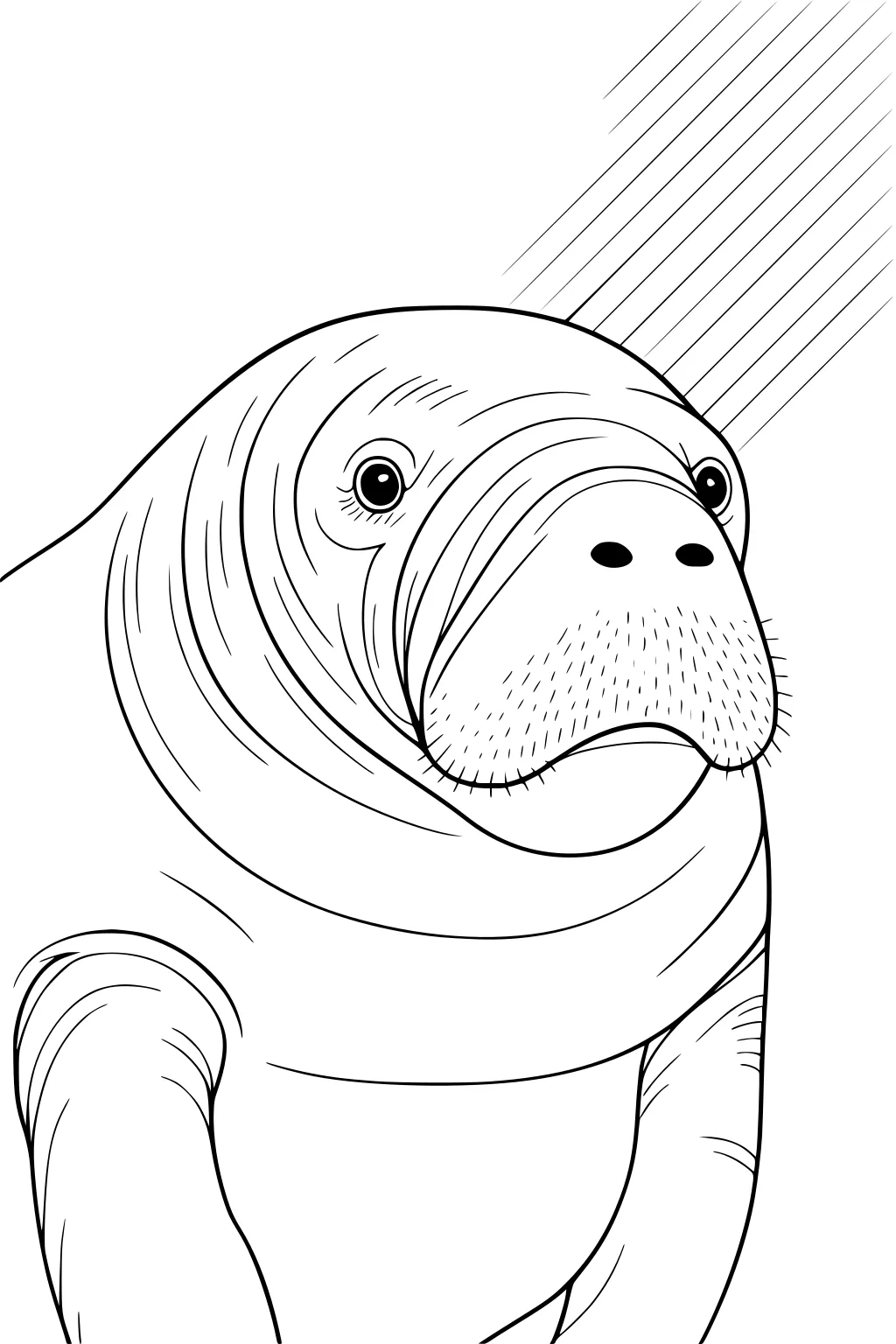 Manatee with wrinkled skin, whiskers, round eyes, and sunbeams on its face.