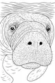 Gentle Face at the Water's Edge